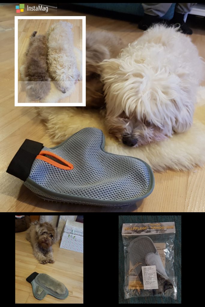 img1496952502621